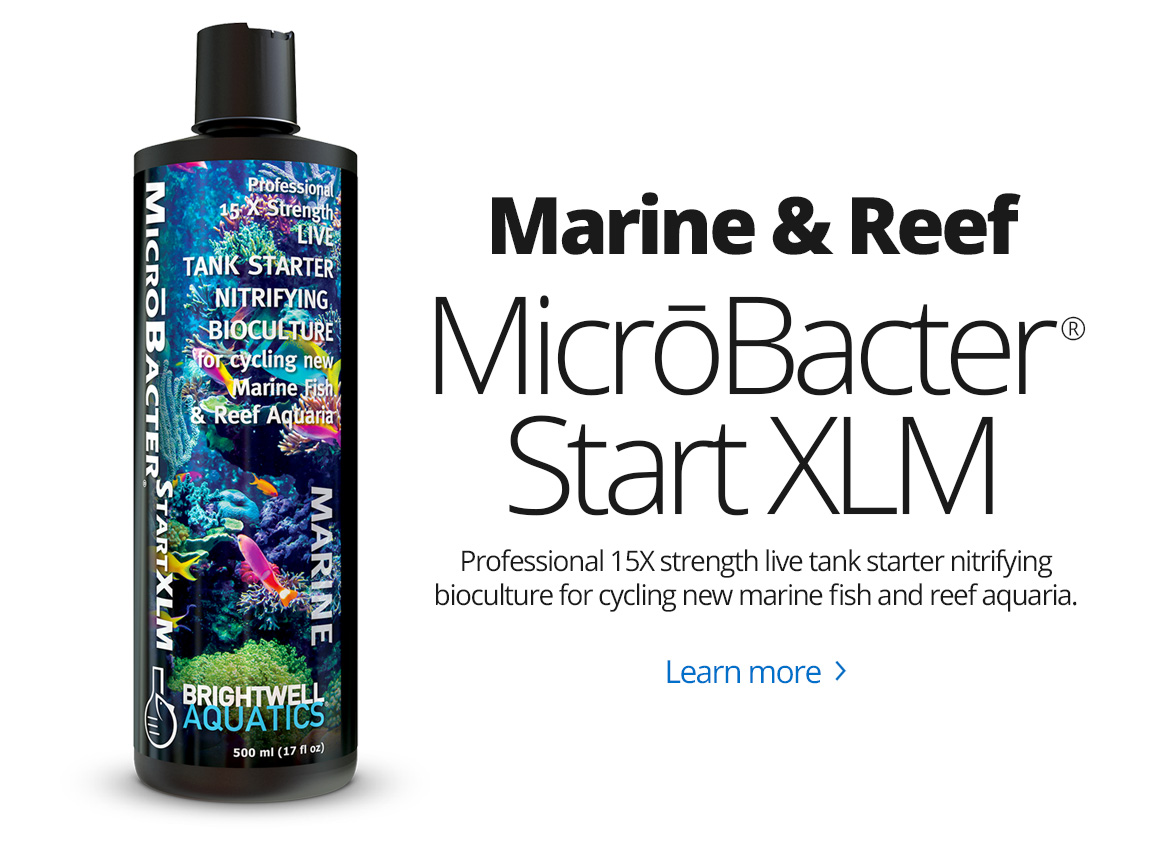 MicroBacter Start XLM